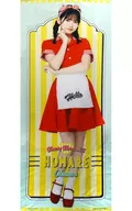 冈村Homare(早安少女组。'22)全身挂画Hello！Project官方商店限定
