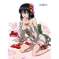 Princess Holly Yukina (Kimono) W Suede B2 Tapestry "STRIKE THE BLOOD"