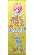 Leona West's nearly life-size Tapestry "PriPara Happi Preselection 202111"