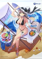 11.Aquila B2挂画受註生產限定