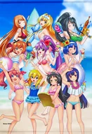 Collection (swimsuit ver.) B2 Tapestry "Twin Angel x Battle Girls Collaboration Second"