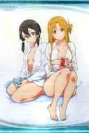 [單品]結城明日奈&朝田詩乃新插圖B2掛畫捆綁特典