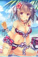 B2 Tapestry?