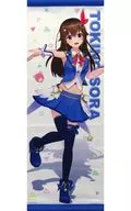 Toki no Sora Mini Tapestry "Virtual YouTuber Hololive Hololive Starter Goods"