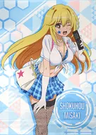 Shokuhou Misaki Drawing B2 Tapestry School Girl Ver. "A Certain SCIENTIFIC Railgun T x Don Quijote"