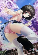 Seto Konomi B2 Tapeçaria "PS4/Switch Soft Halkis" Bônus de compra dos jogadores