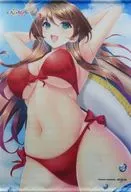 Tanemura Koyuzu Drawing B2 Tapestry "Which PS4/Switch soft I do you like?" Trader Purchase benefits