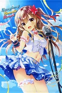 [A la carte] Jacket Ilustração B2 Tapeçaria "CD Symphony Sounds Record 2023 - from 2008 to 2022 - limited edition with tapeçaria" Bônus especial incluído