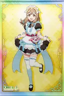 [A la carte] Hanamaru B2 Tapiz "PS5/Switch Soft Phantom No John -NUMAZU in the Mirage - Amazon. co. jp Limited Set"