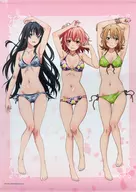 集合(仰向け) プレミアムB2タペストリー/リニューアル 「やはり俺の青春ラブコメはまちがっている。続」 C103グッズ