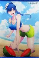 Shusui Tsurukawa B2 Tapestry "Blu-ray Goddess's Cafe Terrace" Sofmap Animega Complete Purchase benefits