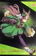 sa多努转体钻石A2挂画vol.9