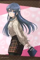 Sakurajima Asaginu  B2 Tapestry spending time with Asaginu "Rascal Does Not Dream of Bunny Girl Senpai Sakurajima Asaginu Valentine's Day Aniplex Online KUJI" A Prize