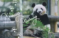 Shanshan Multi Cross Tapestry Ueno Zoo & TokyoZooShop limited goods