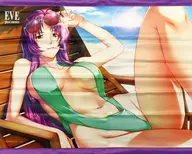 "PS4 / B2 Tapestry" PS4/Switch soft EVE ghost empires "painted by Yayoi Katsuragi Purchase benefits