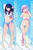 全2種セット ロングタペストリー 「どこプラ×くじメイト グリッドマン ユニバース オンラインくじ2024 Part1」 A賞