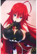 Rias Gremaud Lee Devil B2 Tapestry "KUJI Hikido high school DxD Rias ga Pai KUJI" A-1 Prize