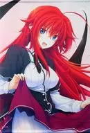 Rias Gremaud Lee Uniform B2 Tapestry "KUJI Hikido high school DxD Rias ga Pai KUJI" A-2 Prize