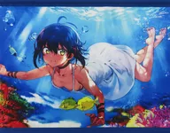 海带裙带菜插图(大海的宝石)B2挂画