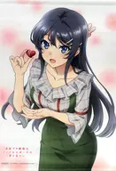 Sakurajima Asaginu A3 Tapestry "Blu-ray/DVD Seishun Butataku don't dream of Randoseru Girl" Gamers Purchase benefits