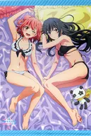 Yukinoshita Yukino & Yuigahama Yui Animation Drawing B2W Suede Tapestry "Blu-ray/DVD My Youth Romantic Comedy Is Wrong, As I Expected. Complete" Torinoana Complete Purchase benefits