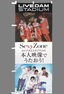 Sexy Zone(timelesz)店麵用鯉魚旗