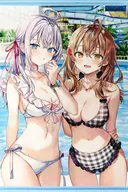 [A la Carte] Arya & marsha B2 Tapestry "Light Novel, Sometimes Dropped in Bosotouro Shea Language Neighboring Arya Behind-the-Scenes Melon Books Limited Edition" Bonus included with the package