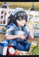 [A la carte] Hime Hiiragi verdura yukina (San Valentín) B2 Tapiz "Strike the Blood III Alarm App Daily Edition verdura yukina Set" incluido en el paquete Akatsuki