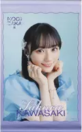 [A la Carte] Sakura Kawasaki Individual A3 Tapestry "Nogizaka46 2025 Grab bag B" Bundled item