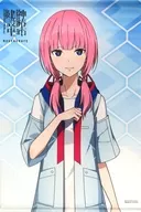 [Single Item] Morisaki Kaho B2 Tapestry "Switch Soft Kamitsubaki City under construction. REGENERATE WonderGOO limited set" included special bonus
