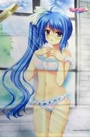 棟本 椿子 B2 Tapiz "Switch Soft World Conquest" Sofmap Purchase benefits
