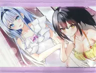 [A la Carte] Original B2 Tapestry by Yuno Nakayama & Ryowa Mochizuki "Light Novel, Game Distributor (20 years old), Forget To Turn Off Distribution and Be Known as a Good Person. Volume 3 Gamers limited edition" included bonus