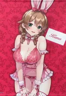 Kana B2 Tapestry (W Suede) "Bunny Garden" AnimeJapan 2025 goods