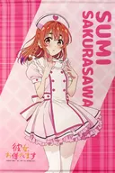 桜沢墨 描き下ろしイラスト B2タペストリー 「サイバースターカプセル 彼女、お借りします」 S賞