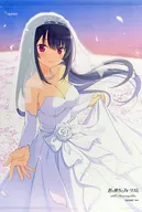 鳶沢 Misaki desenhou a tapeçaria de camurça B2W "PC Soft Soon-Ochi-no-Forism 10 th Anniversary BOX" Bônus de compra dos jogadores