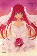Kurashina asuka Drawing B2W Suede Tapestry "PC-Soft Ao-no Kanata-no Four Rhythm 10th Anniversary BOX" Trader Purchase benefits