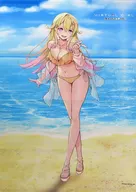 Pintura de linker W-Suede B2 Tapeçaria "PC/Switch Software VIRTUAL GIRL@WORLD'S END" Sofmap Bónus pagos