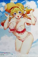 [Single Item] 大箕 Tin illustrated B2 Tapestry "Girl without Comic Filter 8 Volume Gamers Limited Edition" Bonus included with the package