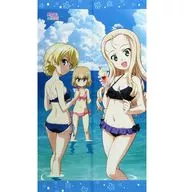 ダージリン＆カチューシャ＆マリー のれん 「ガールズ＆パンツァー 最終章」