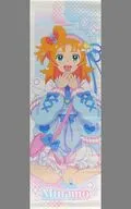 プリンセス・リップル スリムタペストリー 「プリンセッション・オーケストラ ゆめかわ TSUTAYA POP UP SHOP」