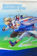 オグリキャップ＆タマモクロス(横向き) A2描きおろしタペストリー 「一番くじ アニメ ウマ娘 シンデレラグレイ 灰の怪物vs白い稲妻」 F賞