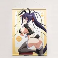 姫島朱乃(逆バニー黒) 描き下ろし B2タペストリー Wスエード 「ハイスクールD×D HERO」