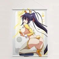 姫島朱乃(逆バニー黄色) 描き下ろし B2タペストリー Wスエード 「ハイスクールD×D HERO」
