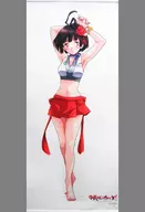 無名等身大掛畫「甲鐵城的卡巴內利」