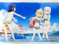 Ensemble (swimsuit) B2 Tapestry "Blu-ray/DVD Gabriel Drop Out" Gamers Zenkan Purchase benefits