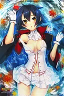 ODA Kuto Nobunaga (ilustração de Katagiri Hinata) B1 Tapeçaria Extra Edition "Sengoku † Koihime"