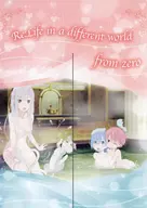 "Re:ZeRo Starting Life in Another World" -large curtain ""