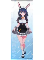 Takaragaroka Life-size Tapestry "KUJI Kore SSSS. GRIDMAN" S-1 Prize