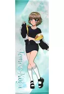 Life-size Tapestry drawn by Tomoe Koga "Rascal Does Not Dream of Bunny Girl Senpai x Don Quijote"