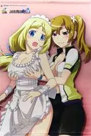 Katy Raikonen & Noriko Sagisaka B2 Tapiz "Switch/PS4 Soft AKIBA'S TRIP2 Directors Cut" Gamers Purchase benefits